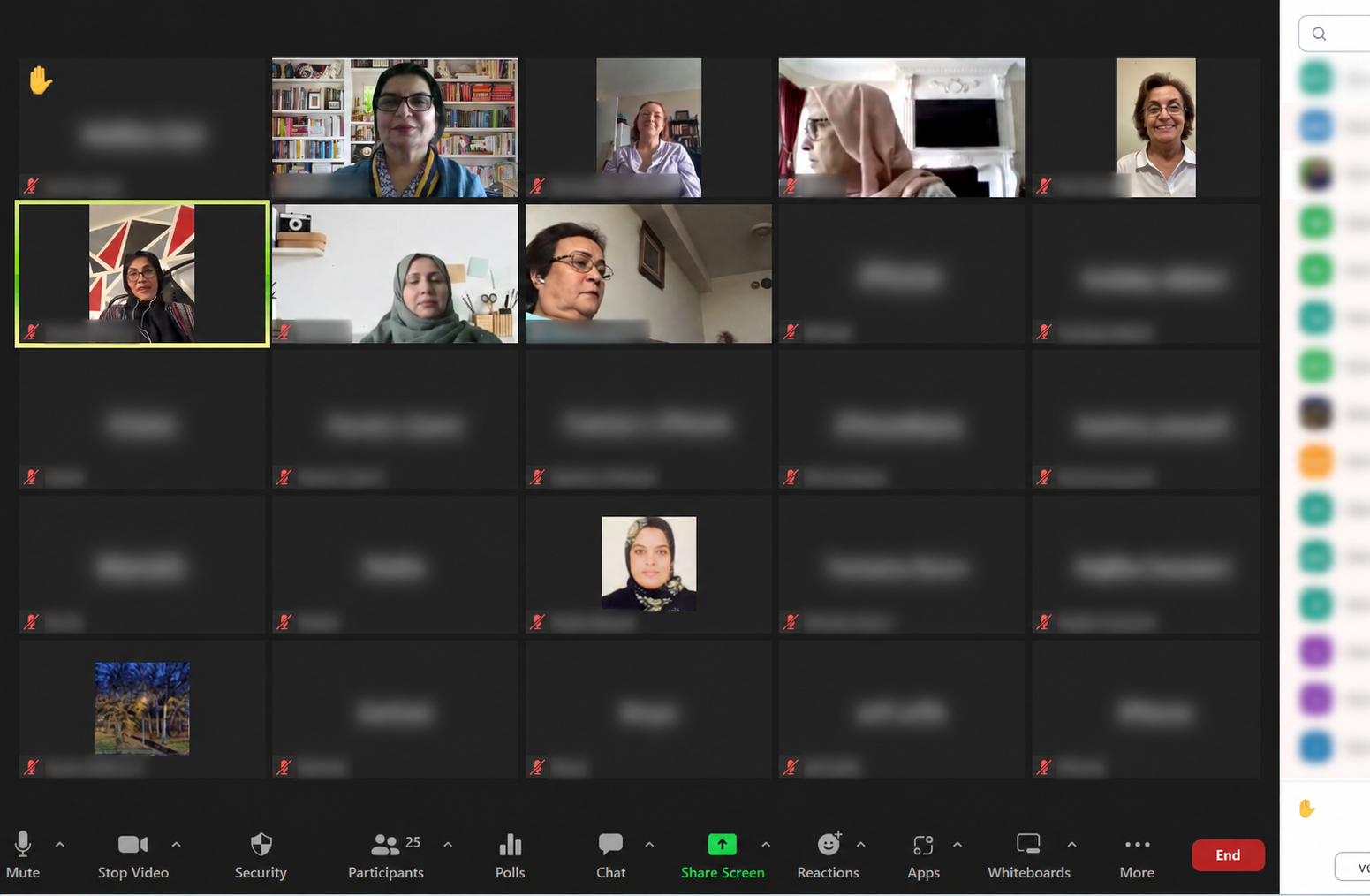 Online gender-based violence awareness session with participant names blurred for privacy